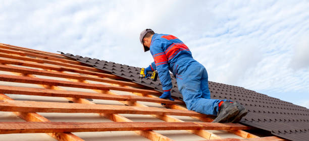 Best Roof Maintenance and Cleaning  in Johns Creek, GA